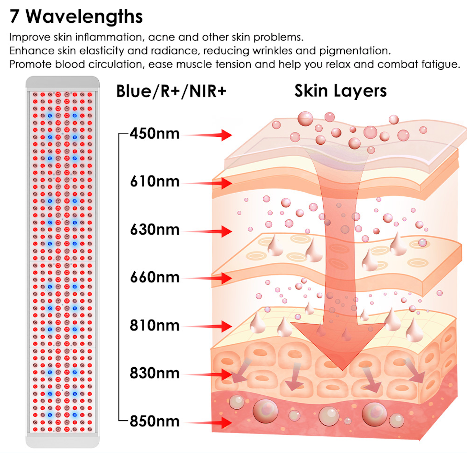 NEW: The Panorama Panel