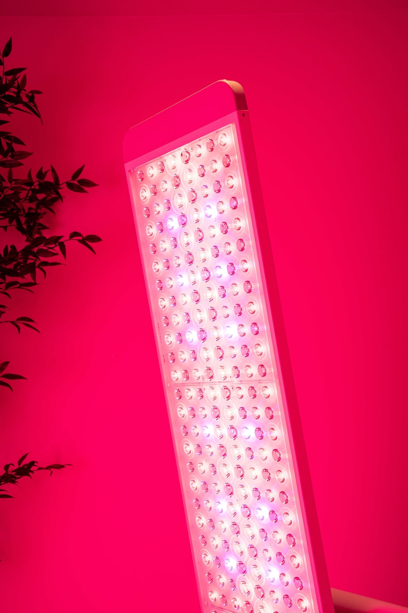 NEW: The Panorama Panel